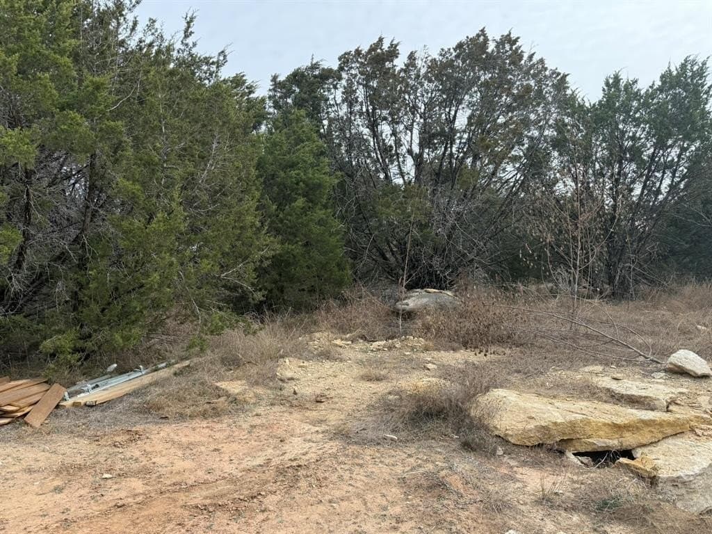 0.03 acres in Hood County - photo 3