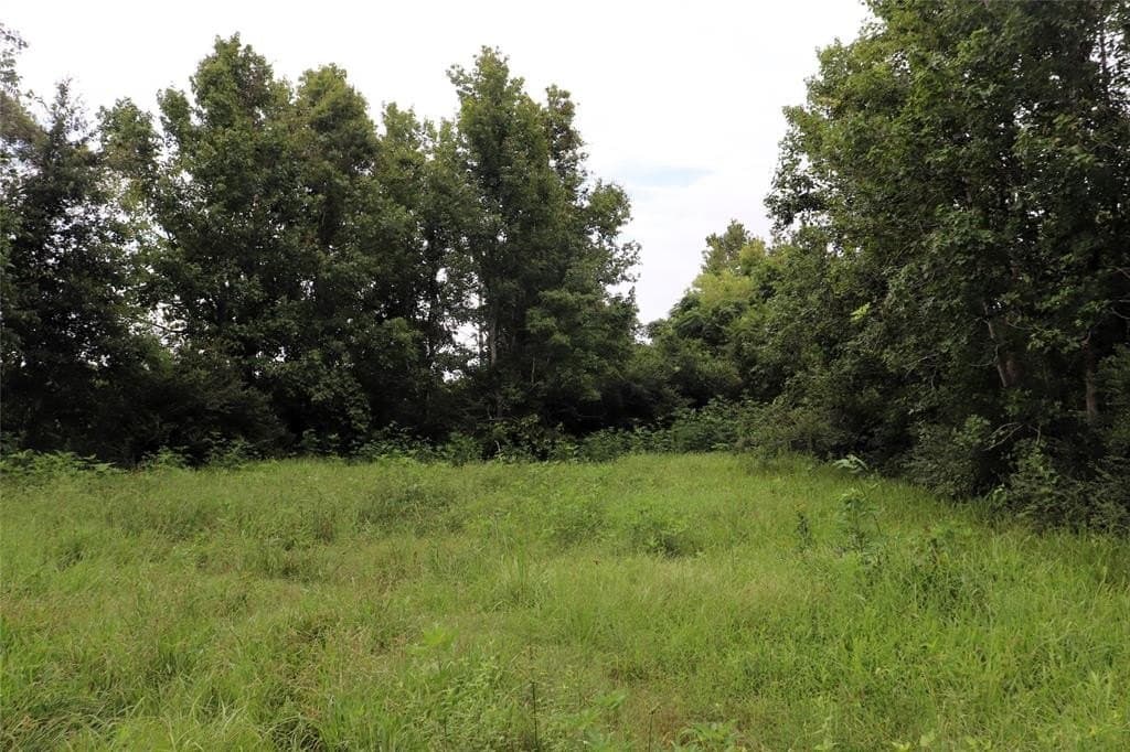 1.05 acres in Liberty County - photo 2