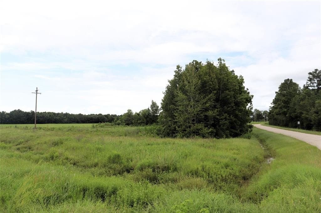 1.05 acres in Liberty County - photo 4