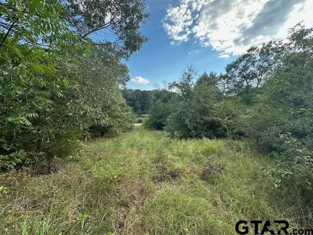 0.83 acres in Van Zandt County - photo 2