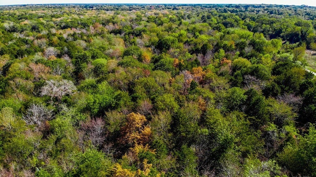 6.2 acres in Navarro County - photo 4