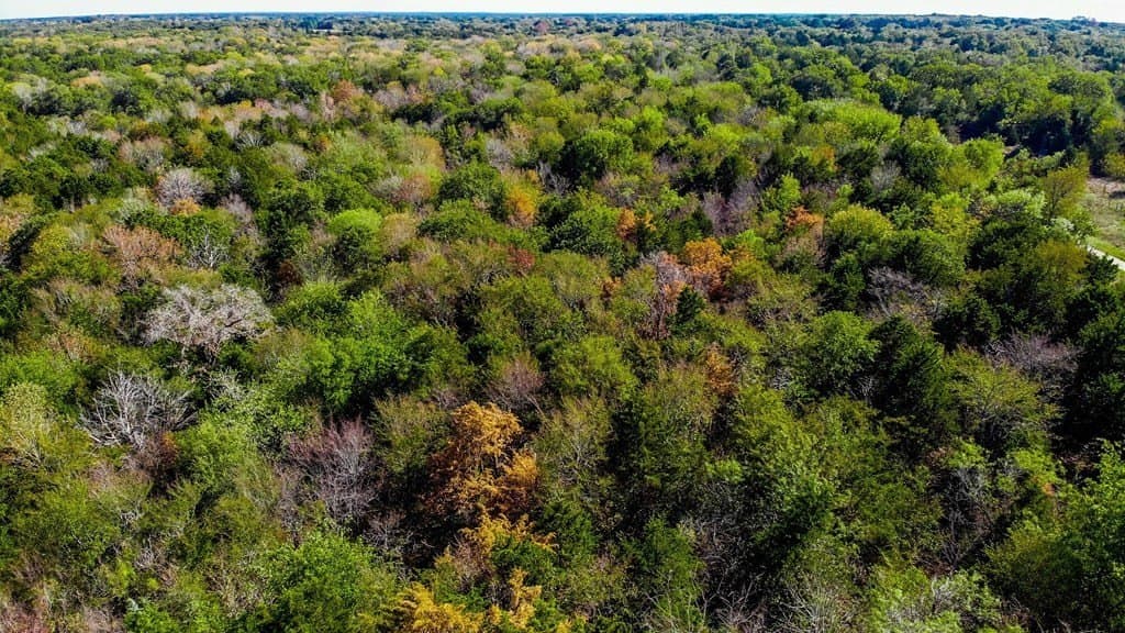 6.2 acres in Navarro County - photo 5