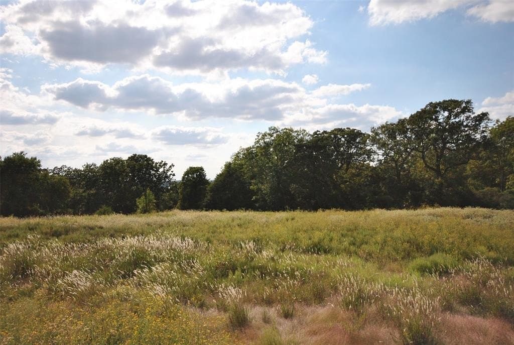 1 acres in Limestone County - photo 3