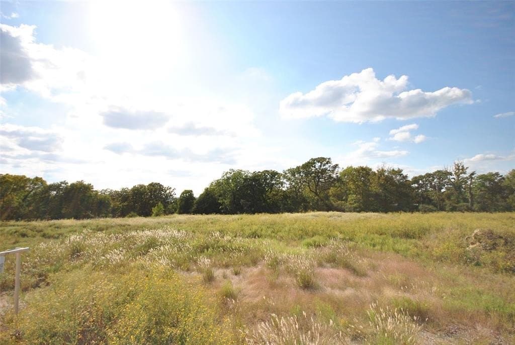 1 acres in Limestone County - photo 6