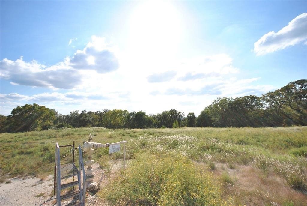 1 acres in Limestone County - photo 4