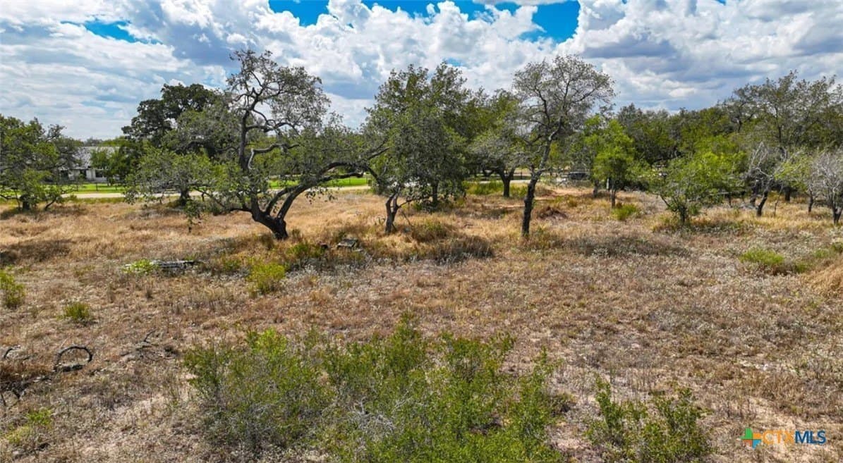5 acres in Atascosa County - photo 4