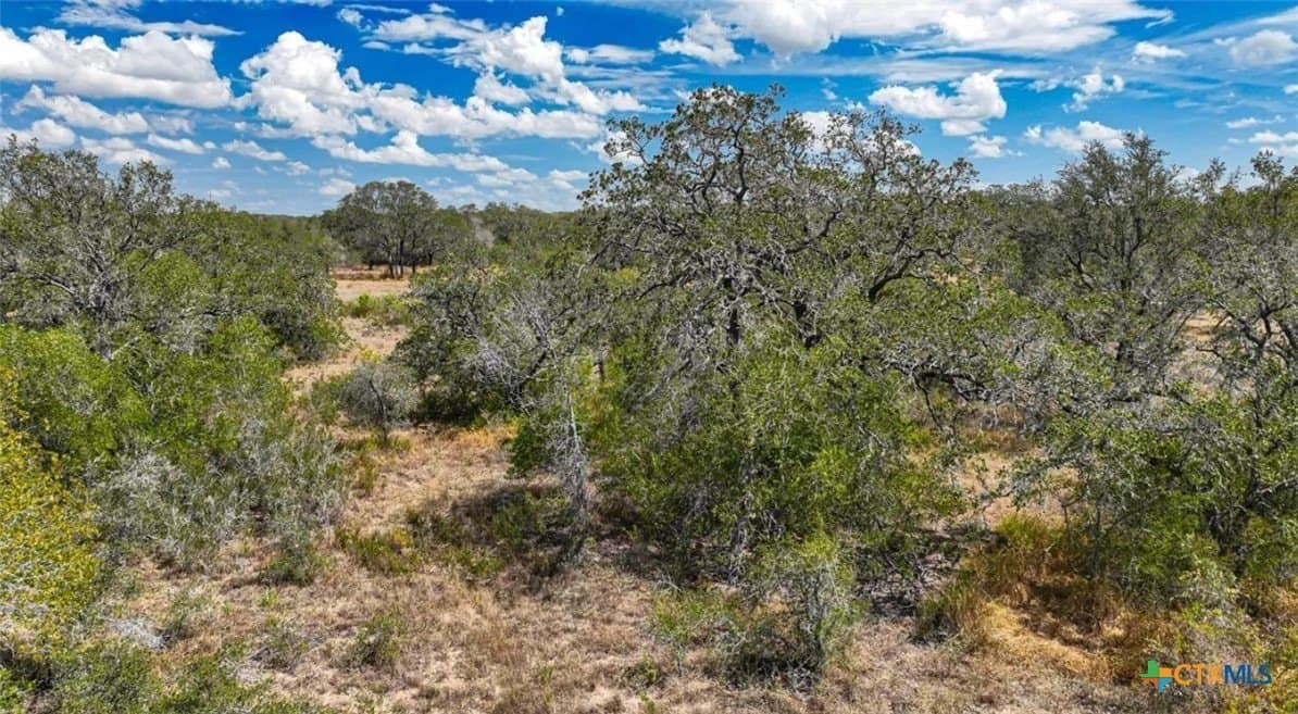 5 acres in Atascosa County - photo 5
