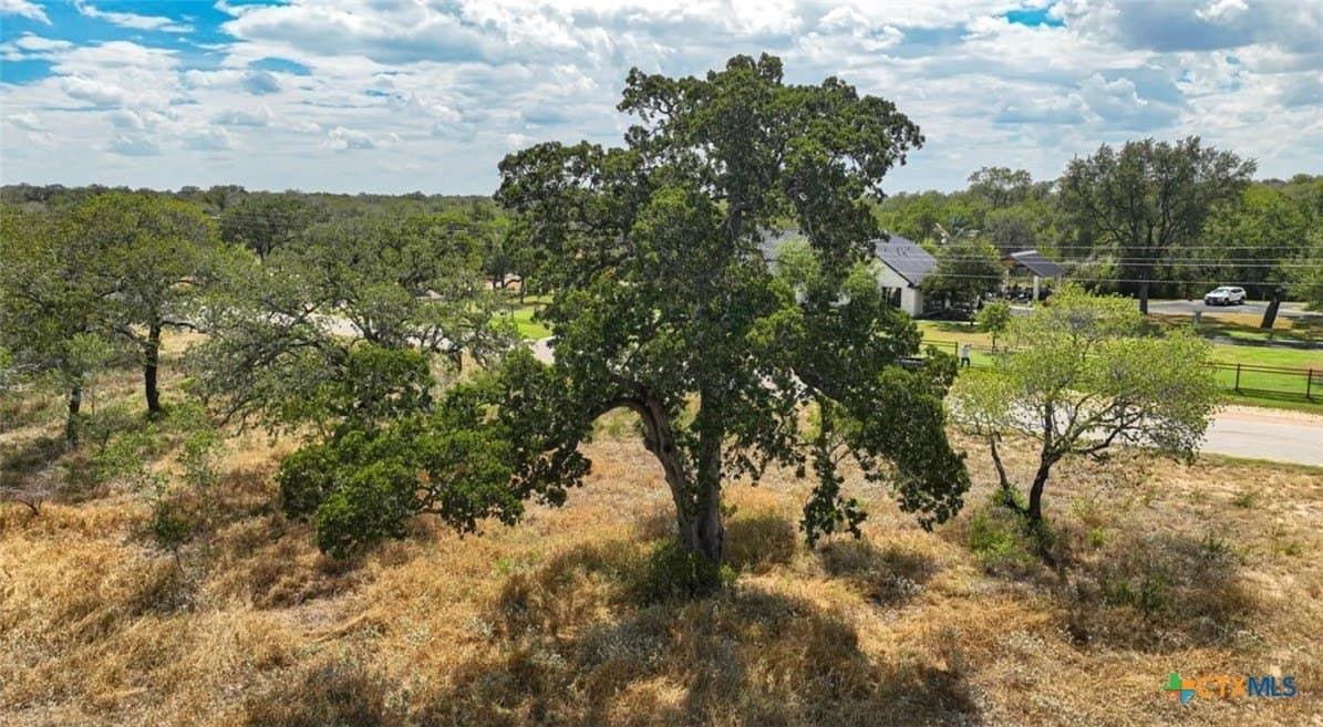 5 acres in Atascosa County - photo 3