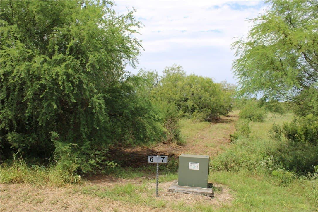 2.32 acres in Live Oak County - photo 5