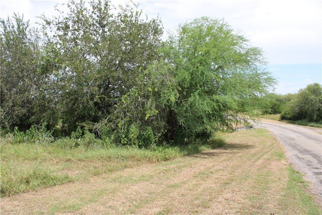 2.32 acres in Live Oak County - photo 4