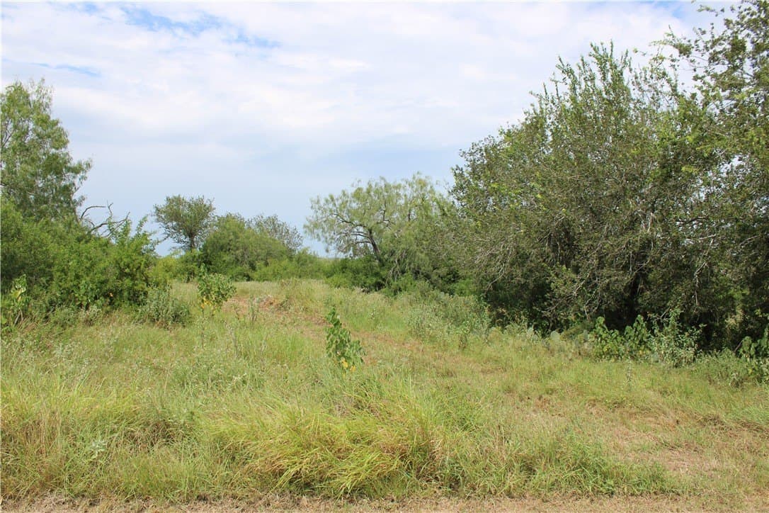 2.32 acres in Live Oak County - photo 2