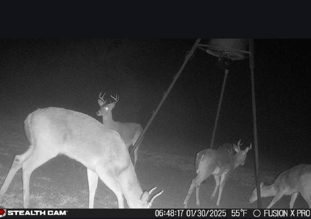 49.9 acres in Callahan County - photo 17