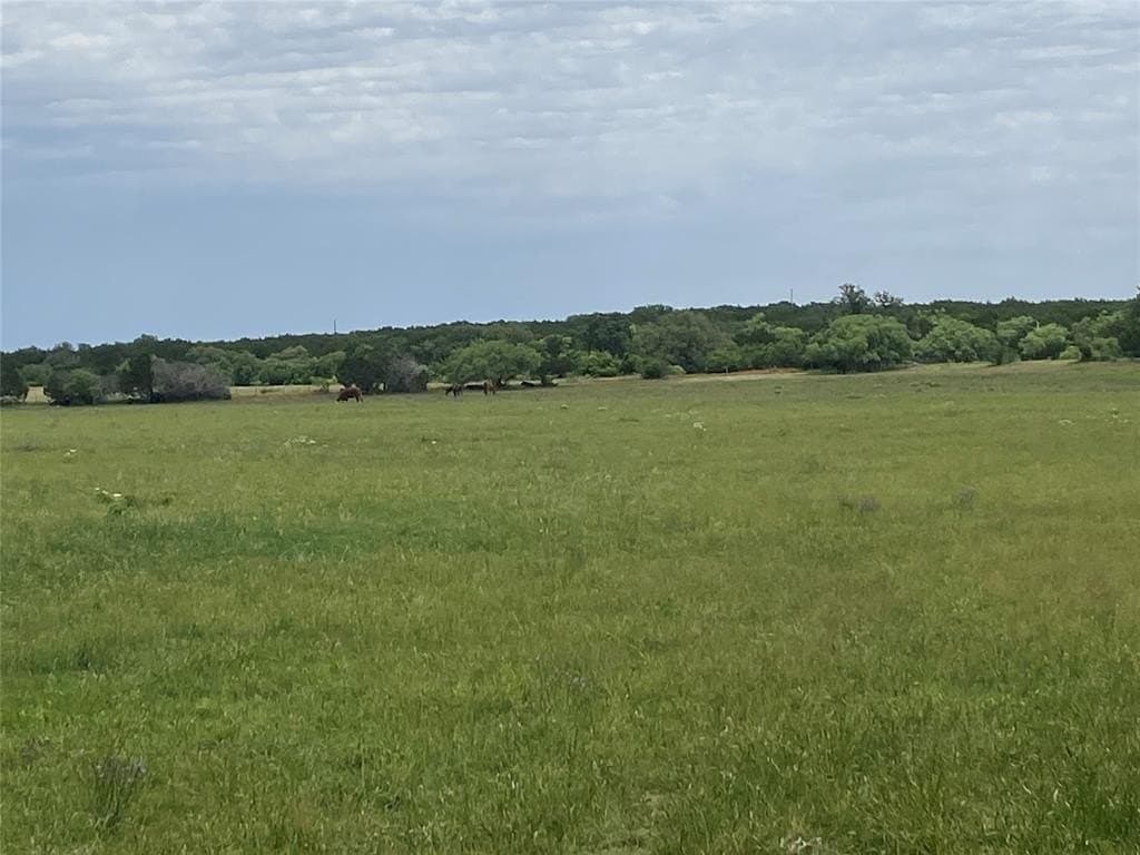 49.9 acres in Callahan County - photo 23