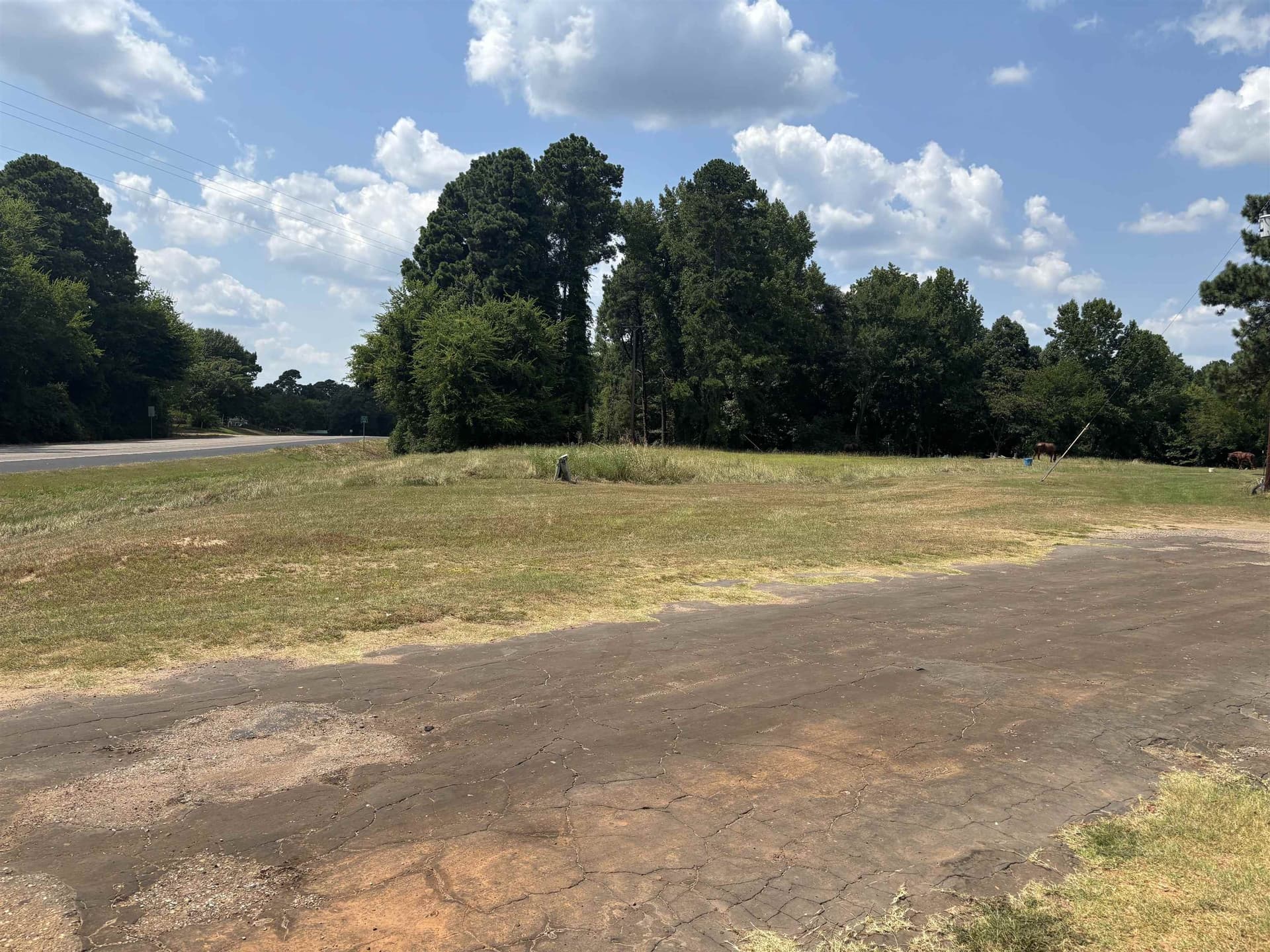 0.03 acres in Texas County - photo 4