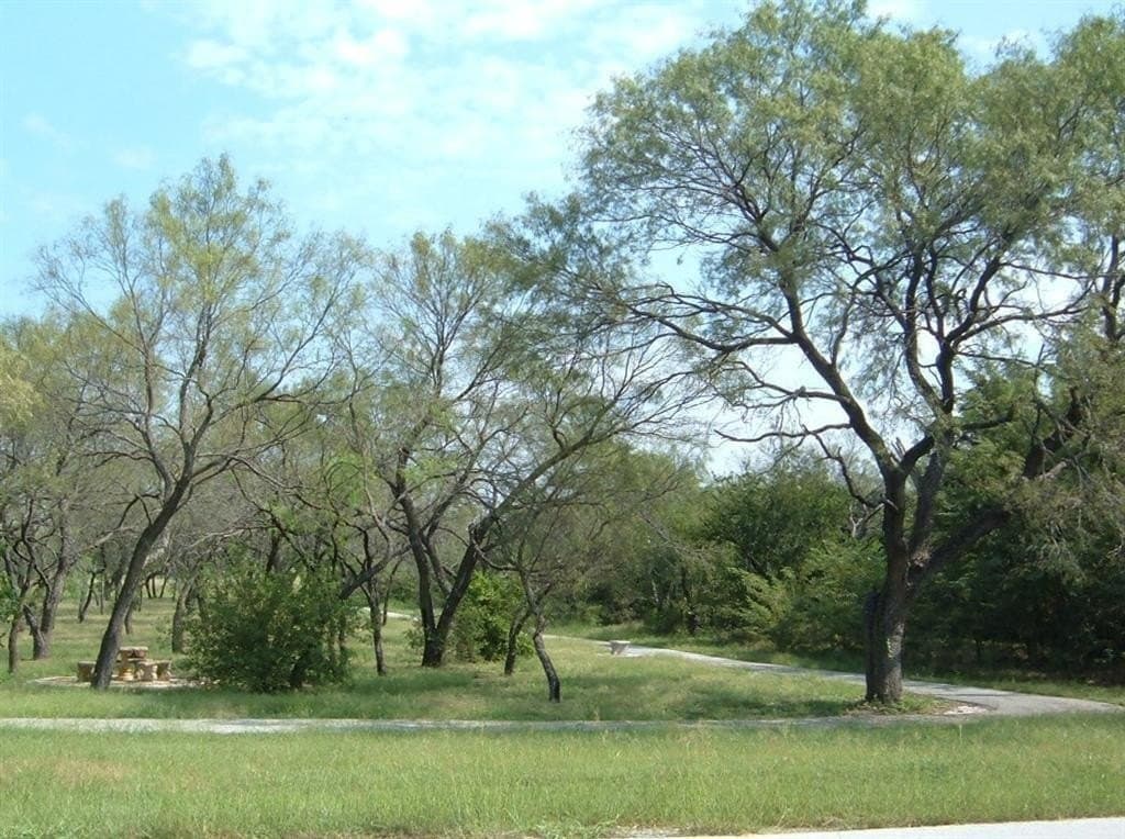 2 acres in Wise County - photo 4