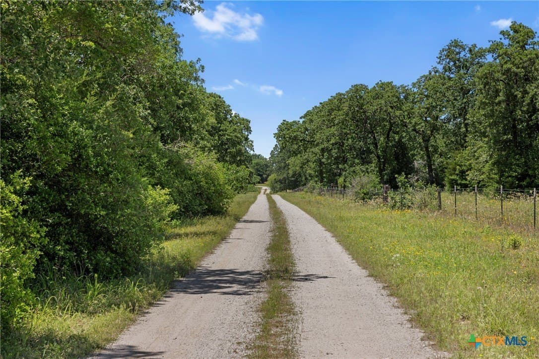 16.11 acres in Robertson County - photo 2