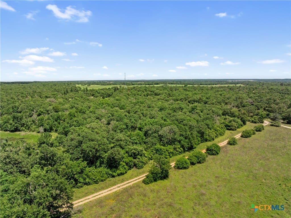 16.11 acres in Robertson County - photo 16