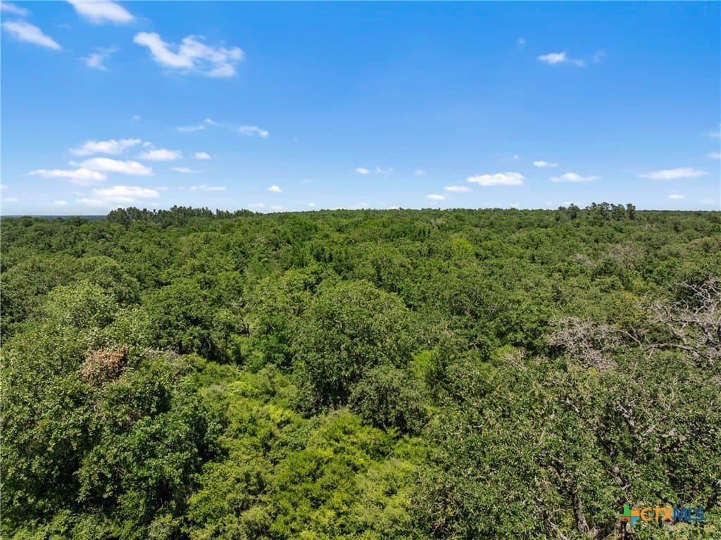 16.11 acres in Robertson County - photo 15