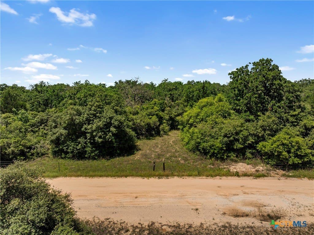 16.11 acres in Robertson County - photo 4
