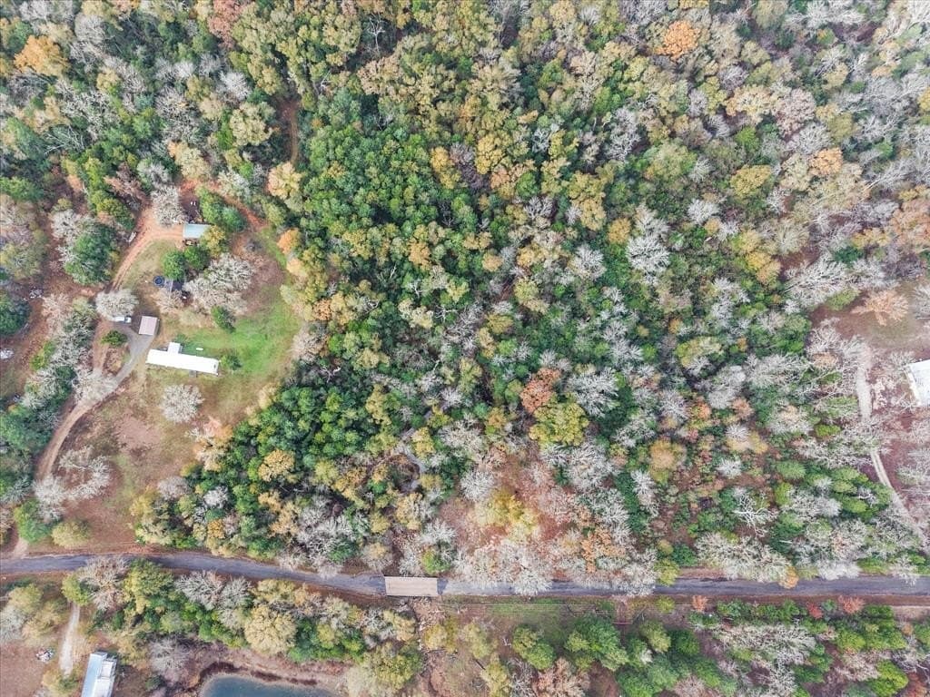 6.59 acres in Freestone County - photo 5