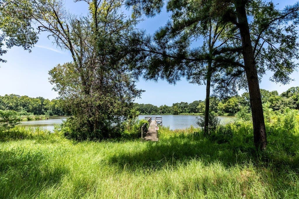 14 acres in ANDERSON County - photo 14