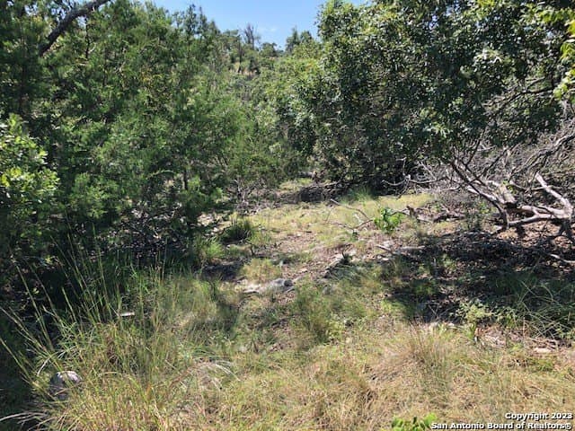 Longview Drive lot: 8