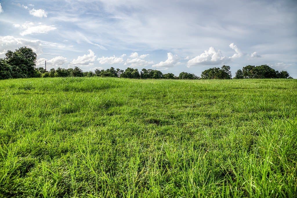 2.2 acres in Washington County - photo 5