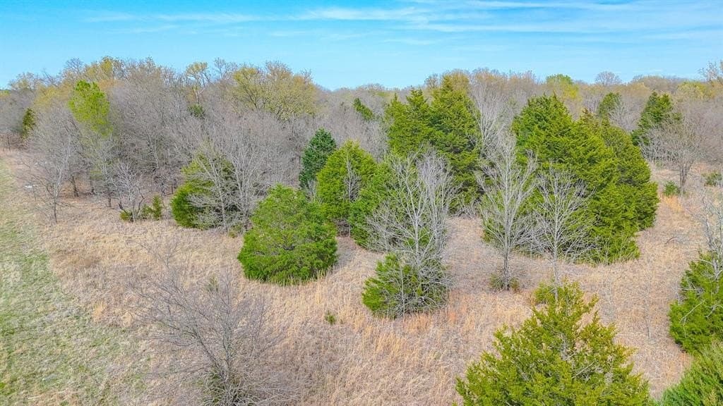 0.69 acres in Navarro County - photo 5
