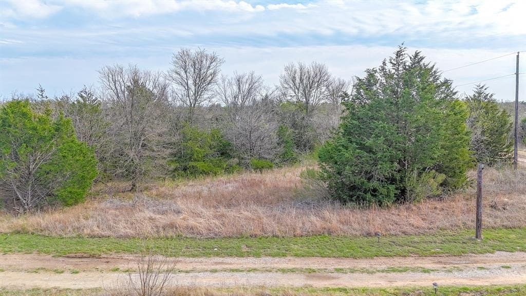 0.69 acres in Navarro County - photo 4