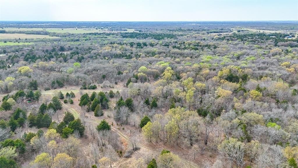0.69 acres in Navarro County - photo 15
