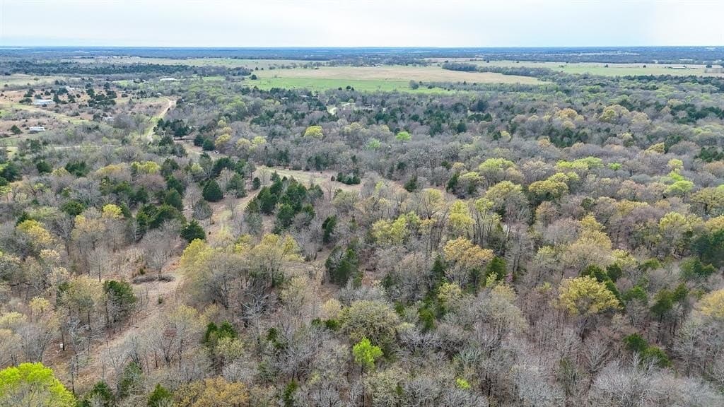 0.69 acres in Navarro County - photo 18
