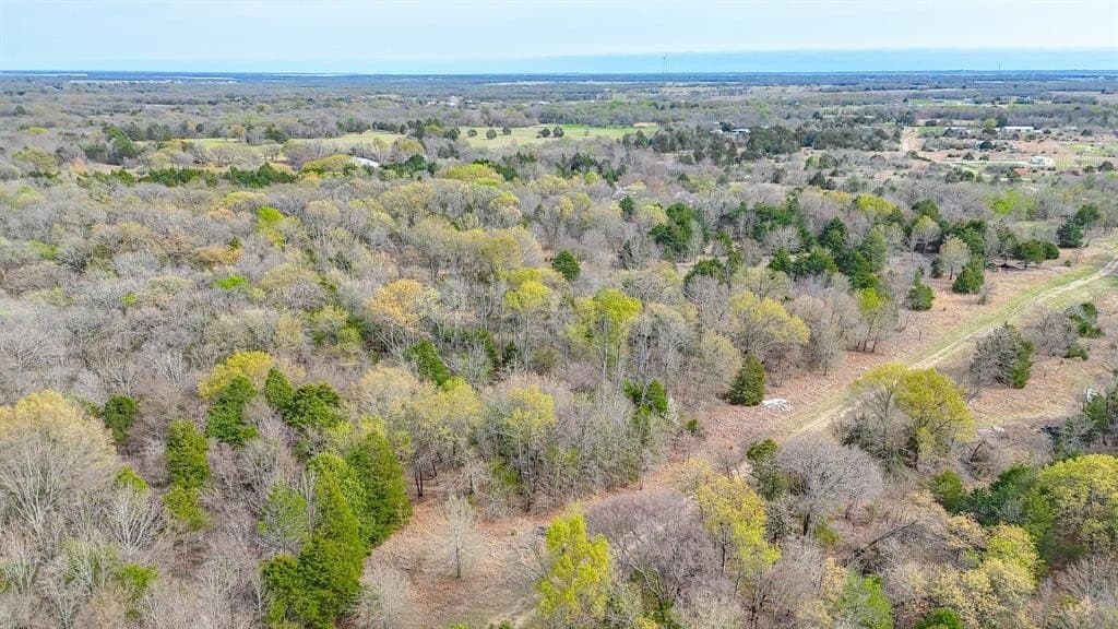 0.69 acres in Navarro County - photo 25