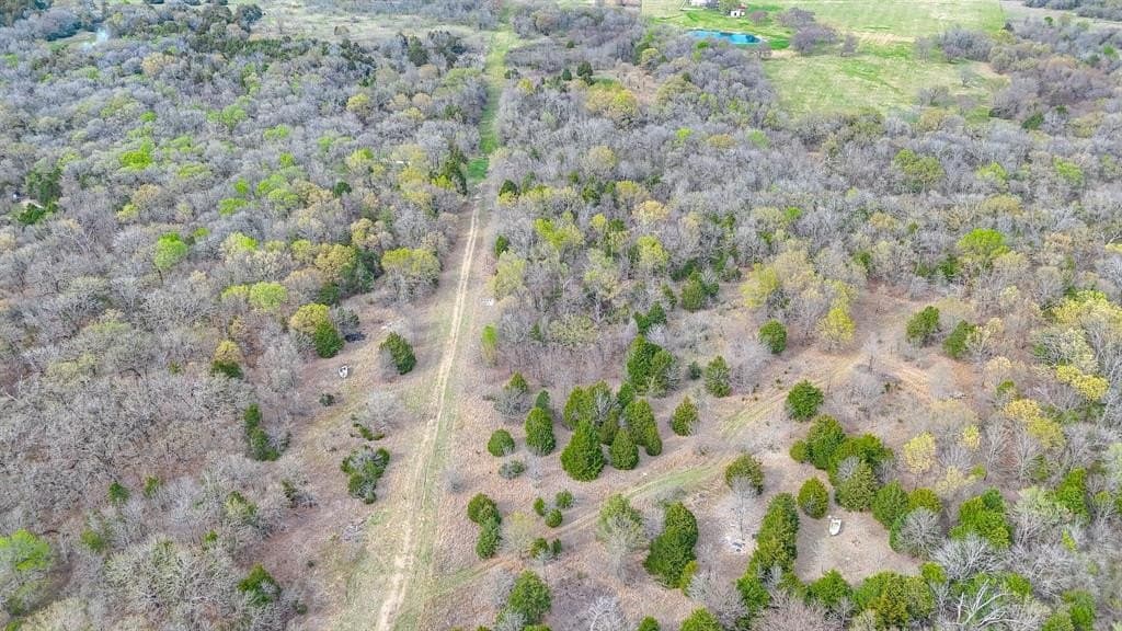 0.69 acres in Navarro County - photo 9