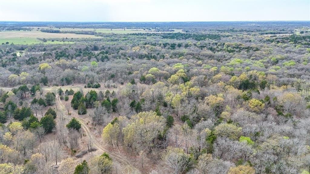 0.69 acres in Navarro County - photo 16