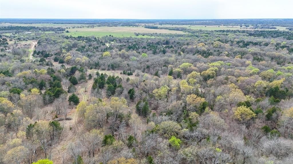 0.69 acres in Navarro County - photo 17