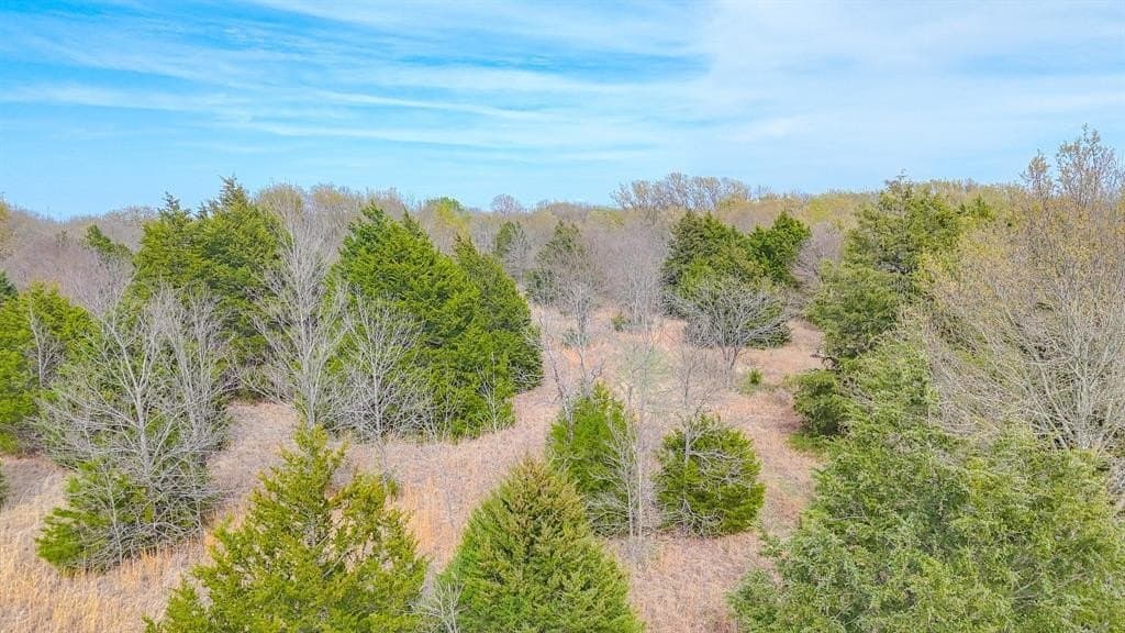 0.69 acres in Navarro County - photo 39