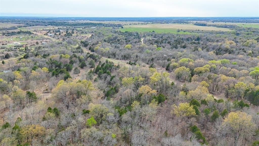 0.69 acres in Navarro County - photo 19