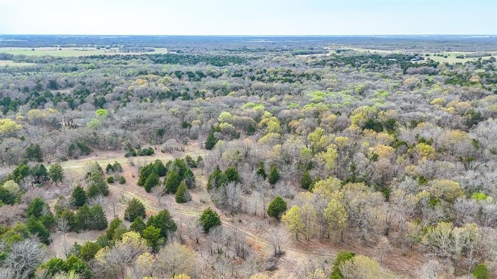 0.69 acres in Navarro County - photo 14