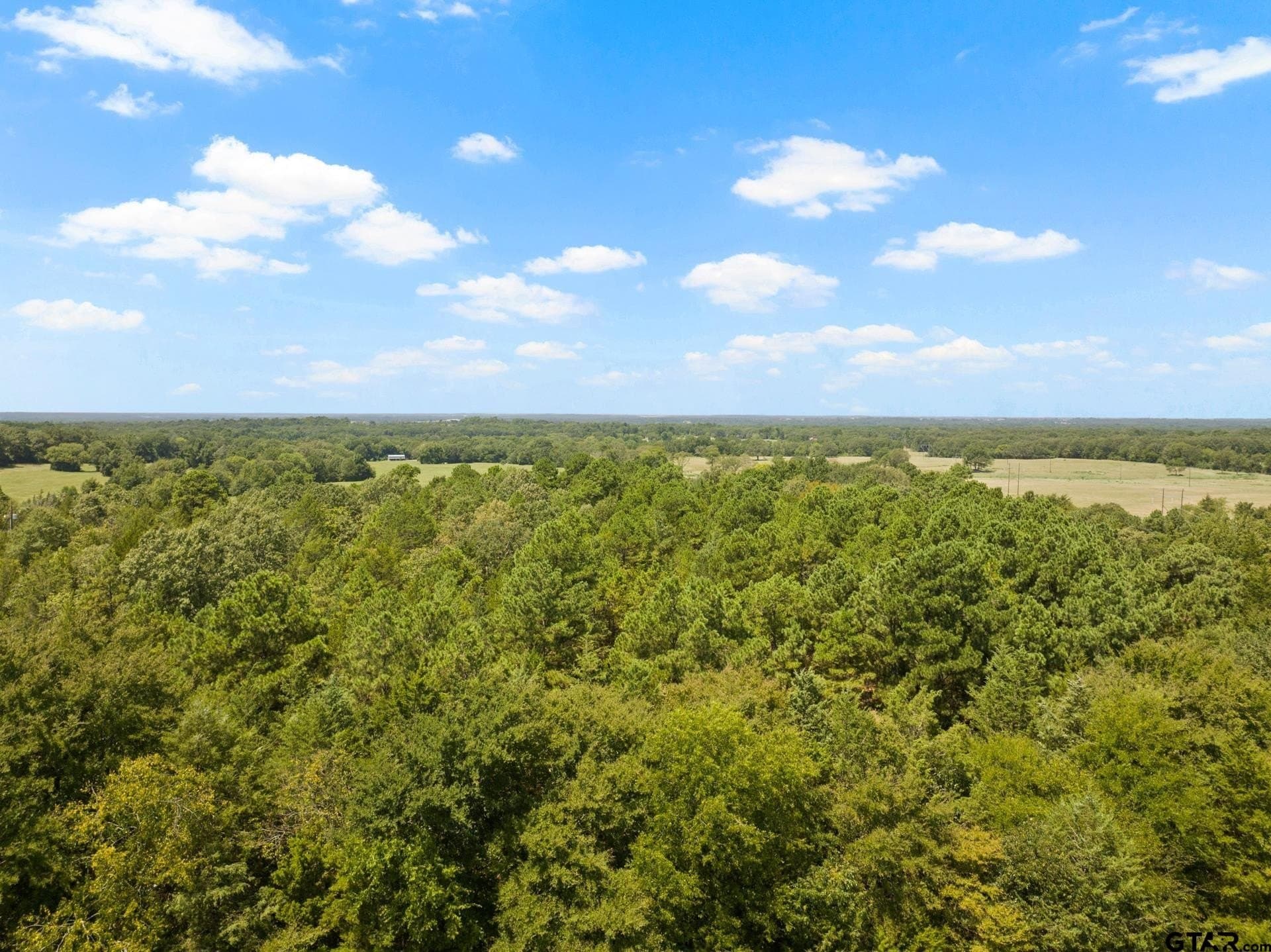 15 acres in Titus County - photo 10