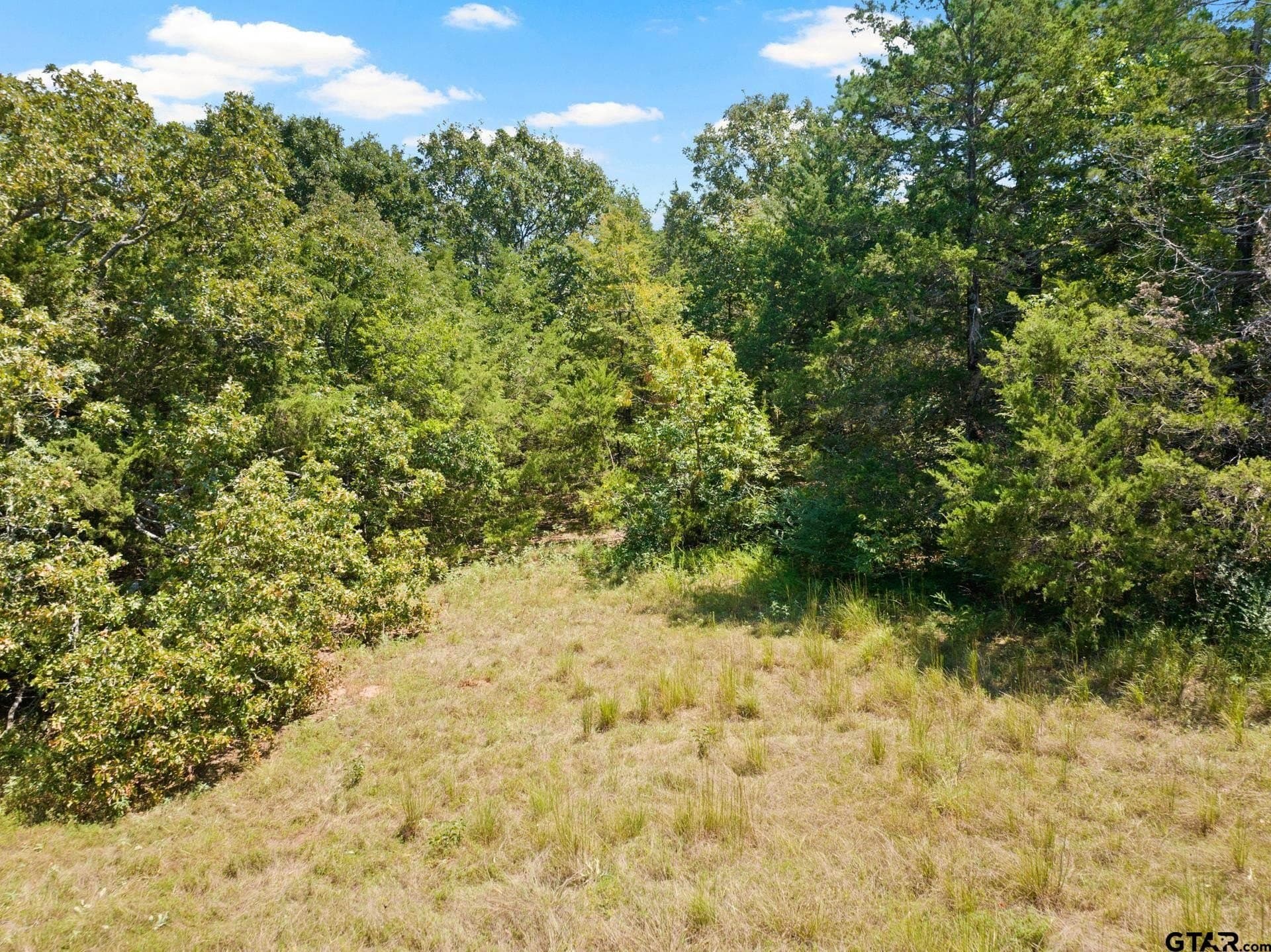 15 acres in Titus County - photo 6