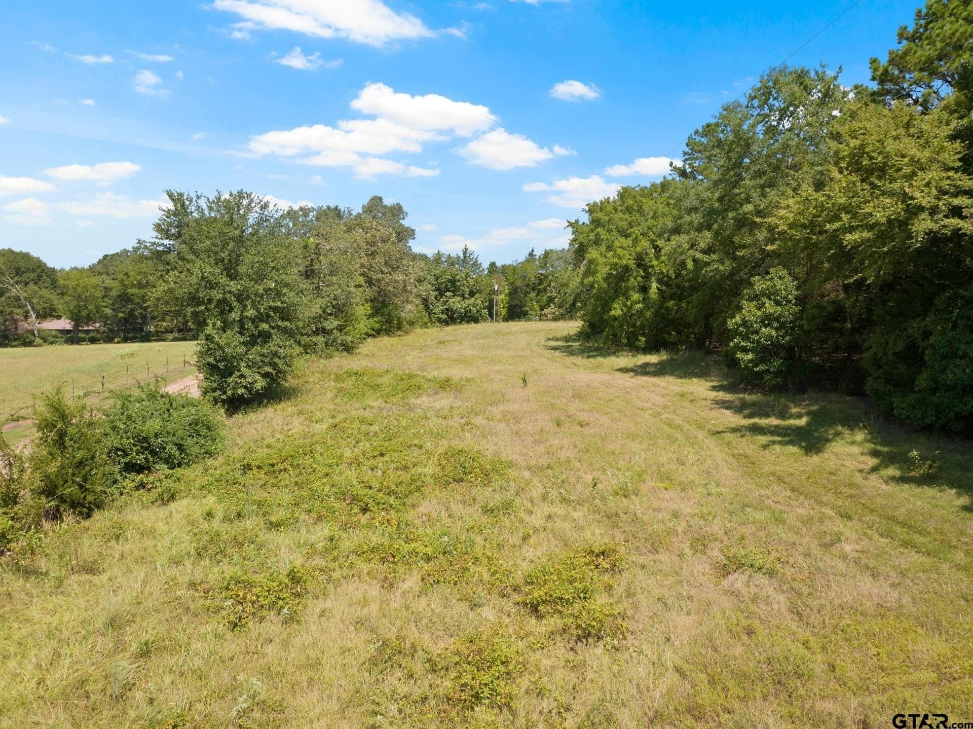 15 acres in Titus County - photo 3