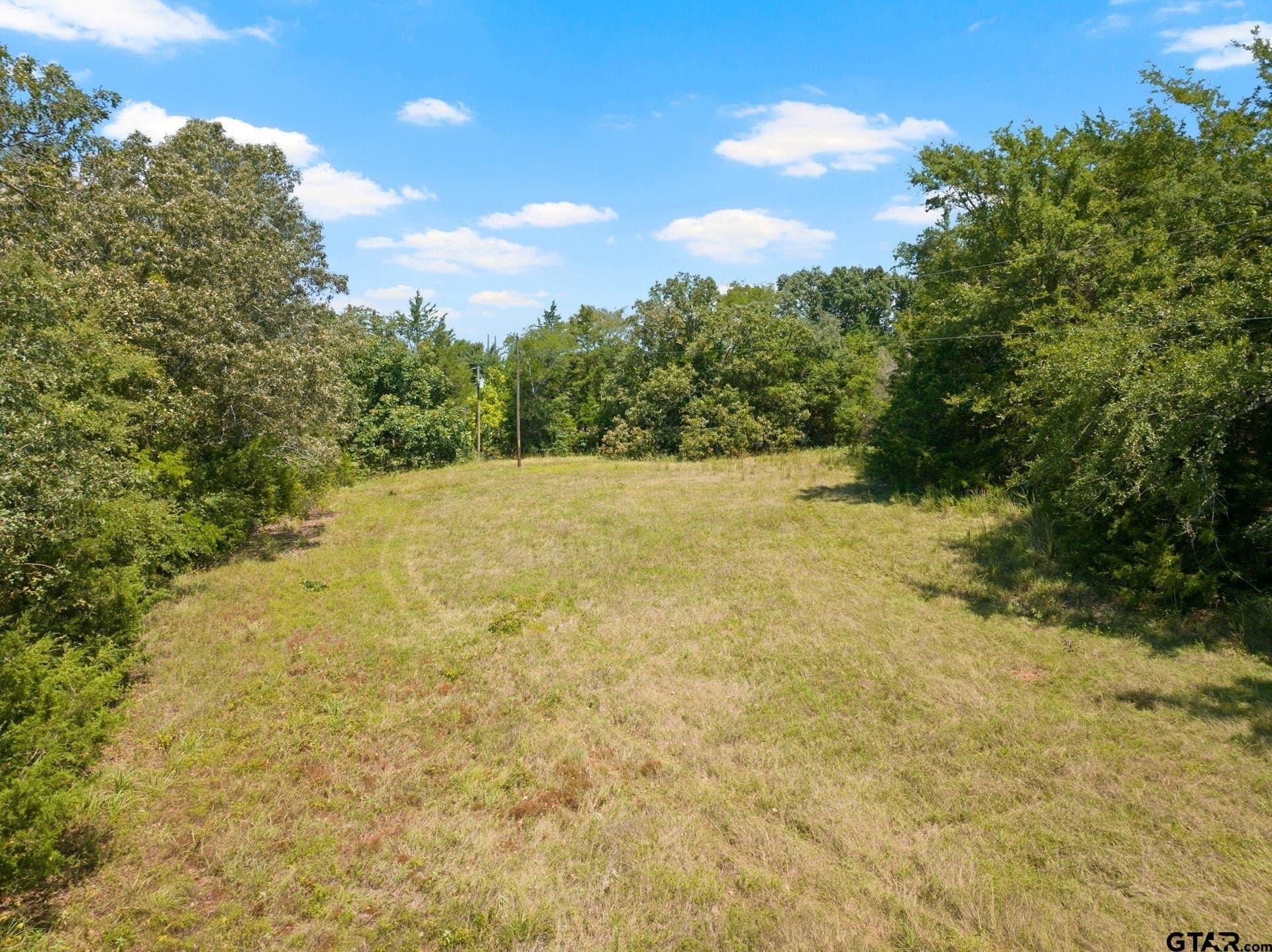 15 acres in Titus County - photo 4