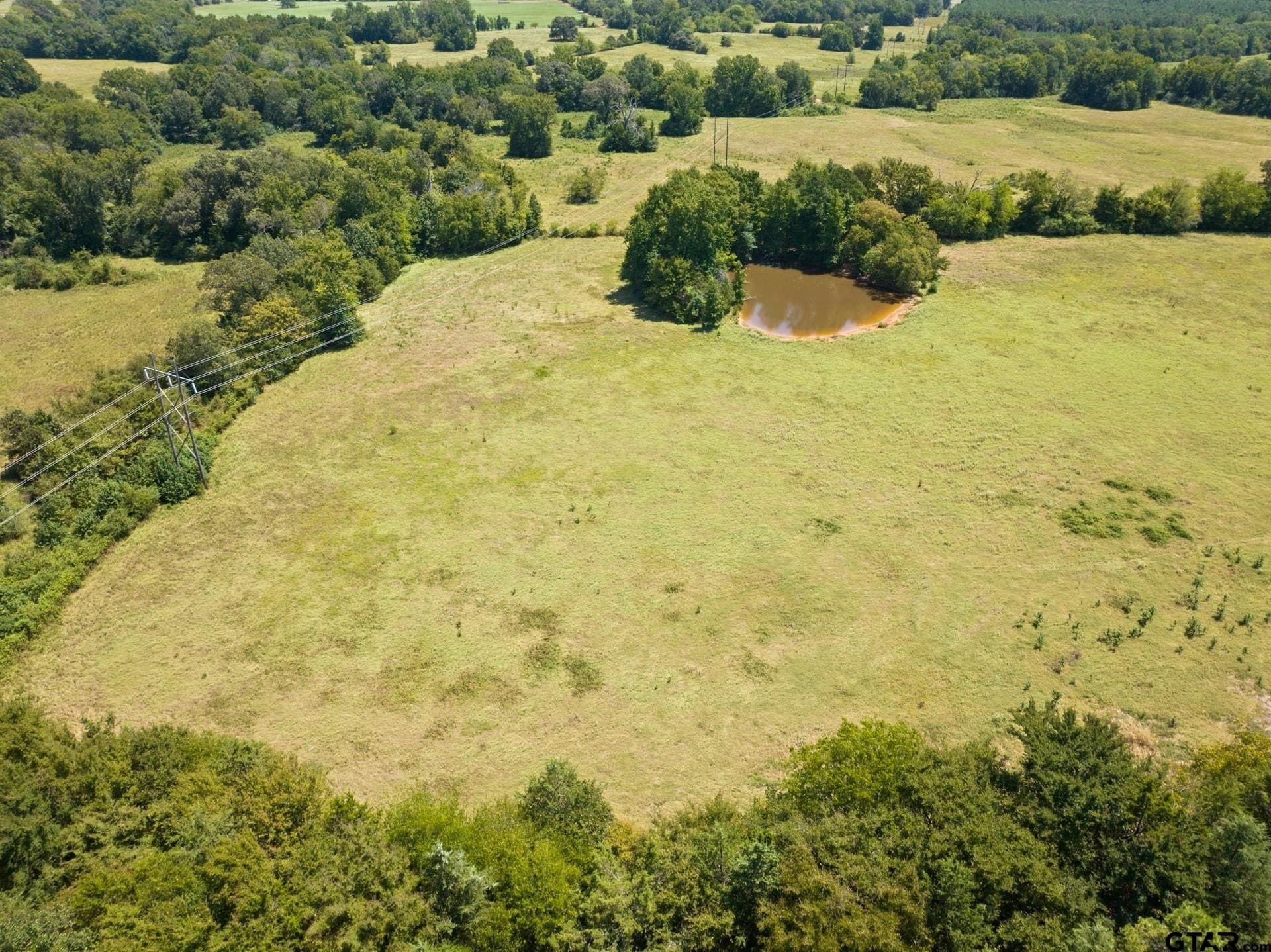 15 acres in Titus County - photo 7