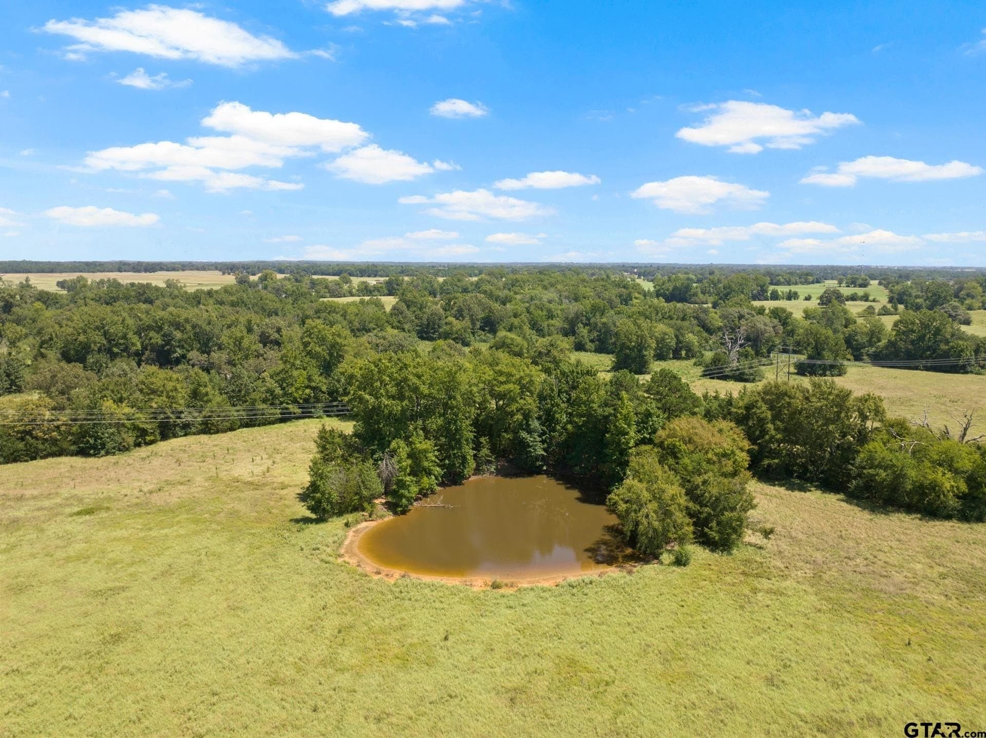15 acres in Titus County - photo 8