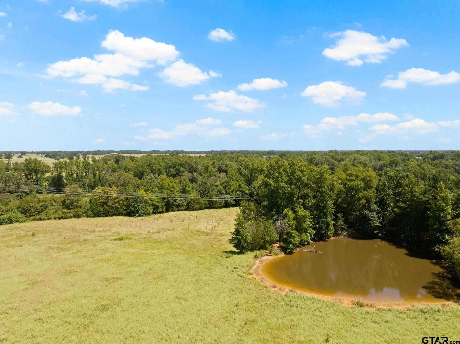 15 acres in Titus County - photo 9