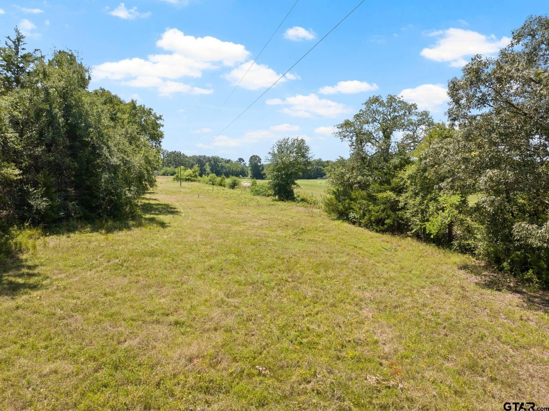 15 acres in Titus County - photo 5