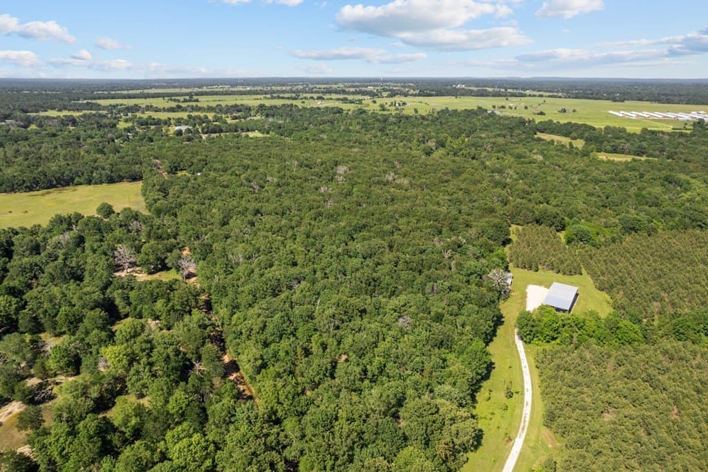 155.49 acres in ANDERSON County - photo 8