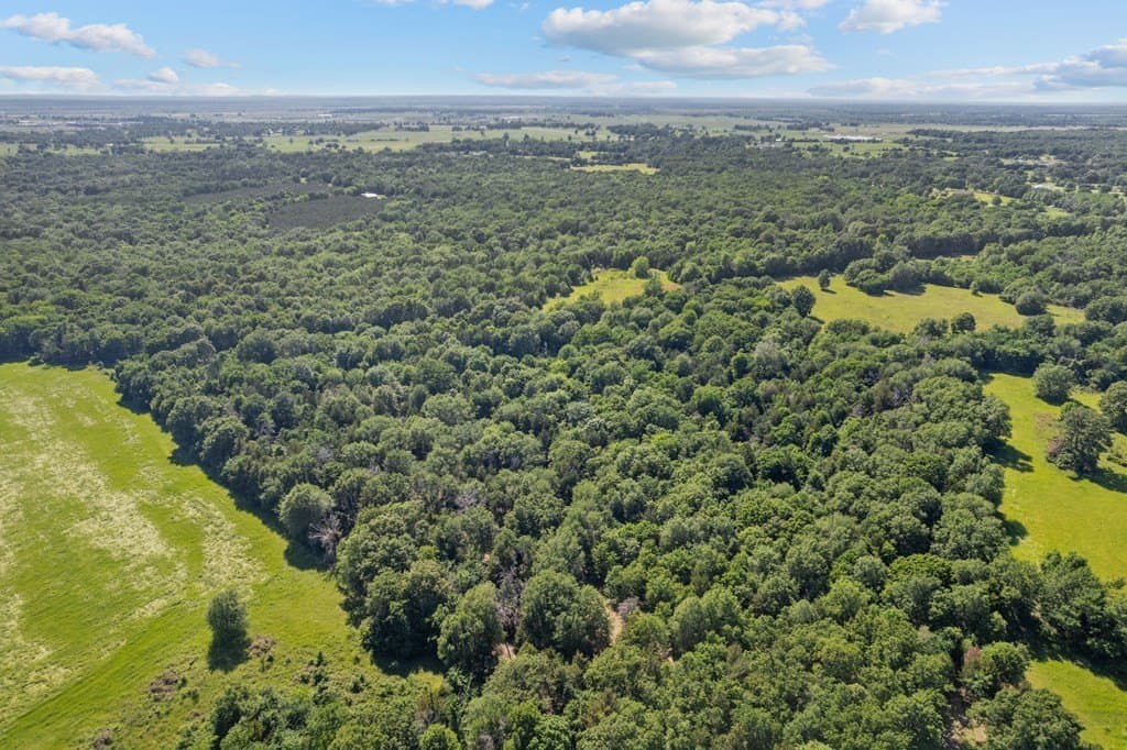 155.49 acres in ANDERSON County - photo 5