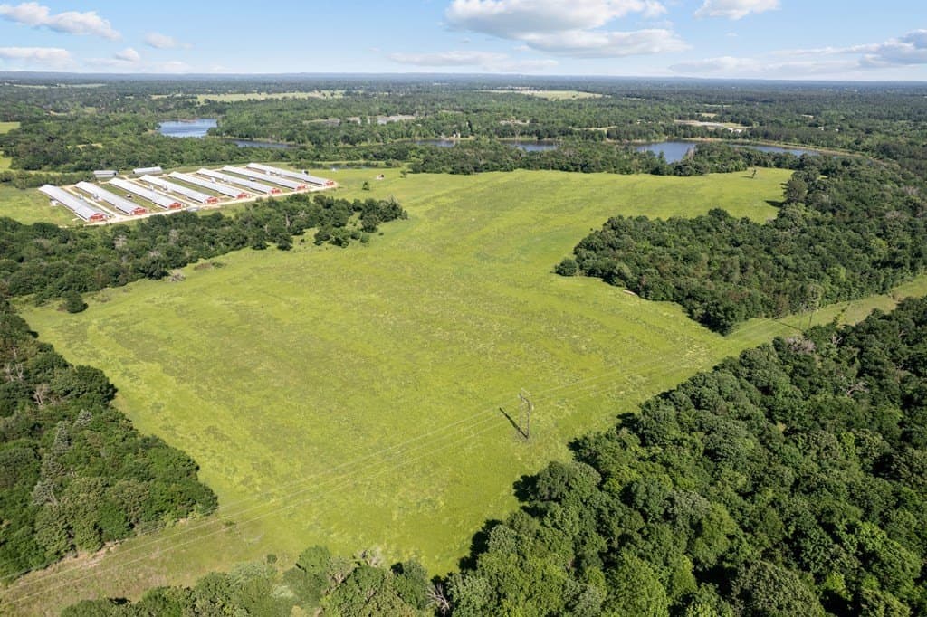 155.49 acres in ANDERSON County - photo 3