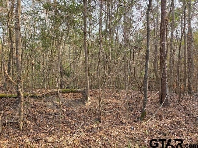 7.85 acres in Rusk County - photo 5